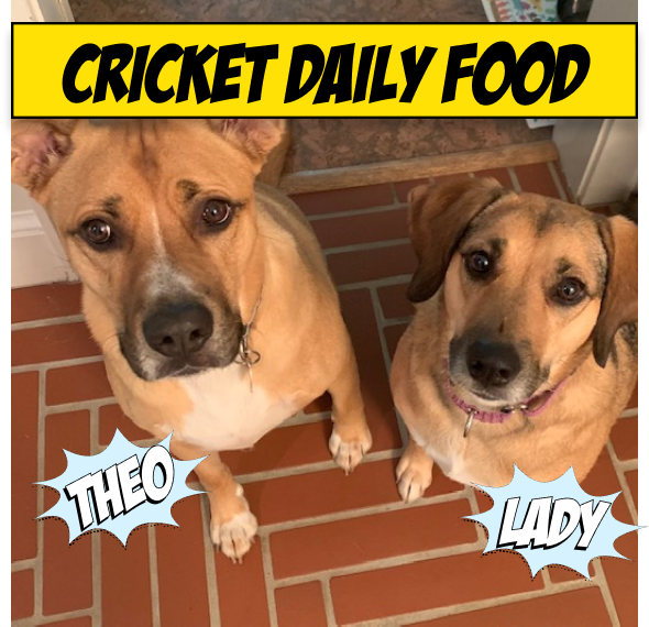 Cricket Recipe Wet Dog Food