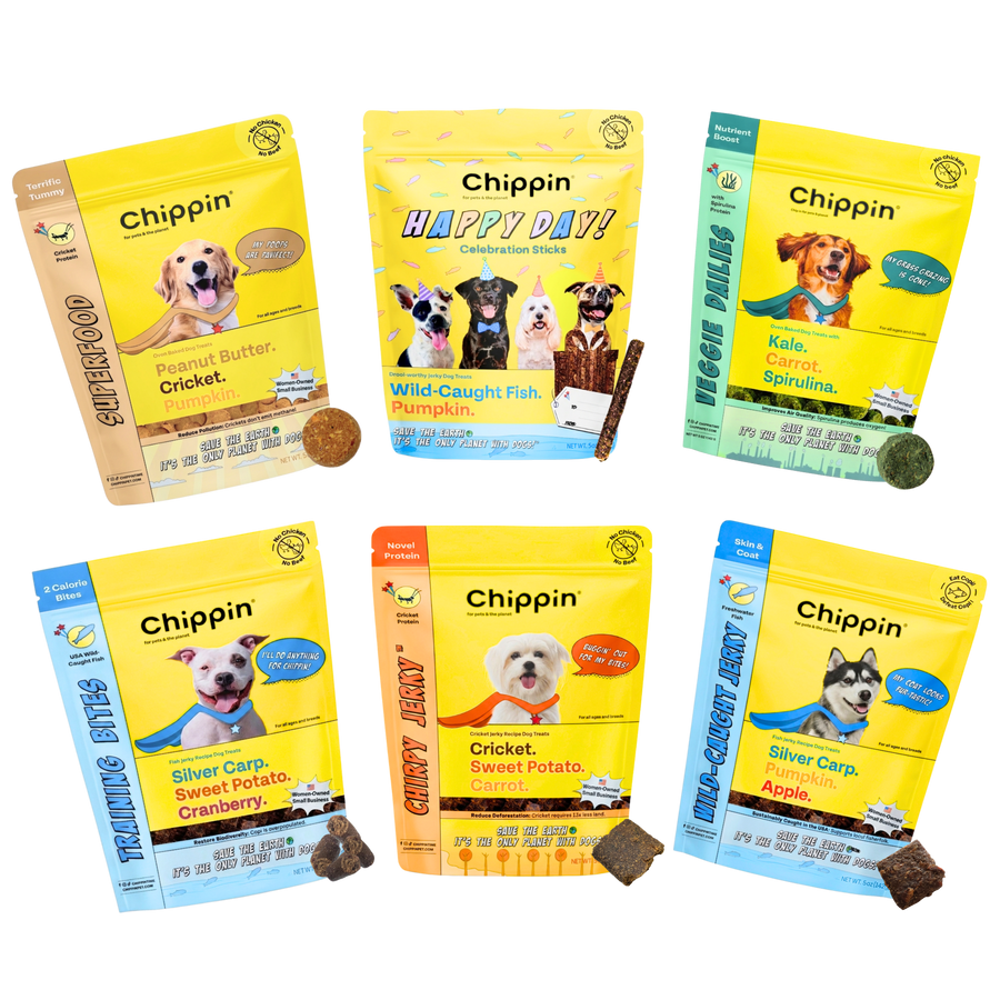 Variety Gift Bundle