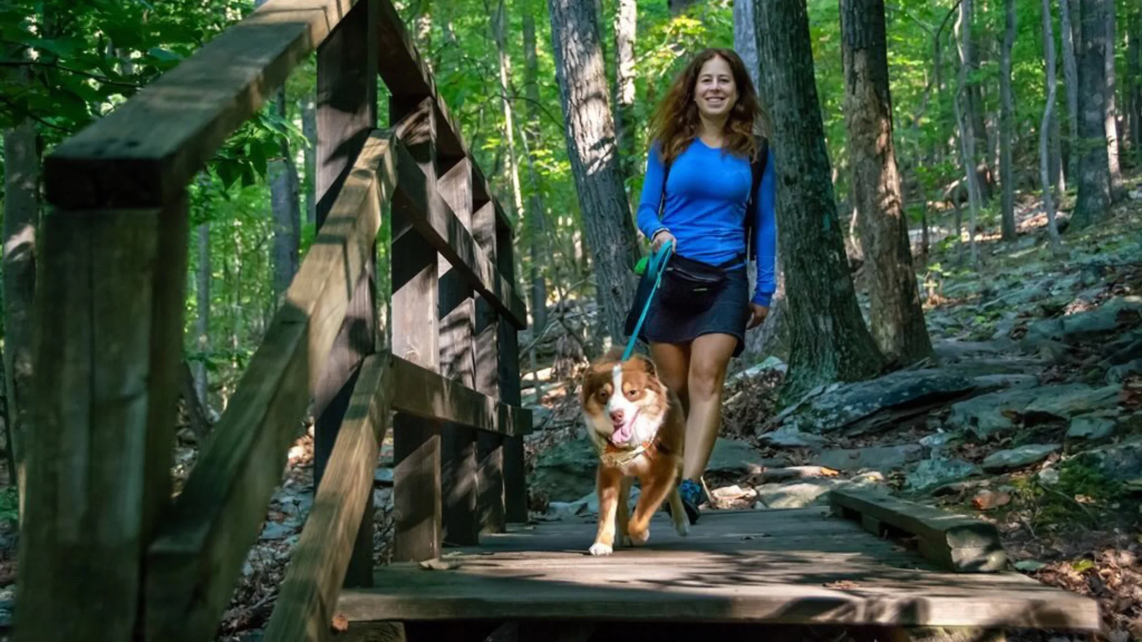 A woman walking a dog on a wooden forest bridge