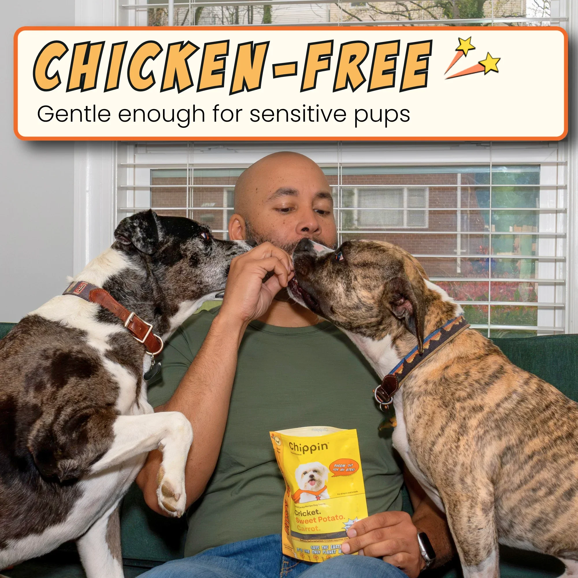 A person sharing treats with two dogs on a couch