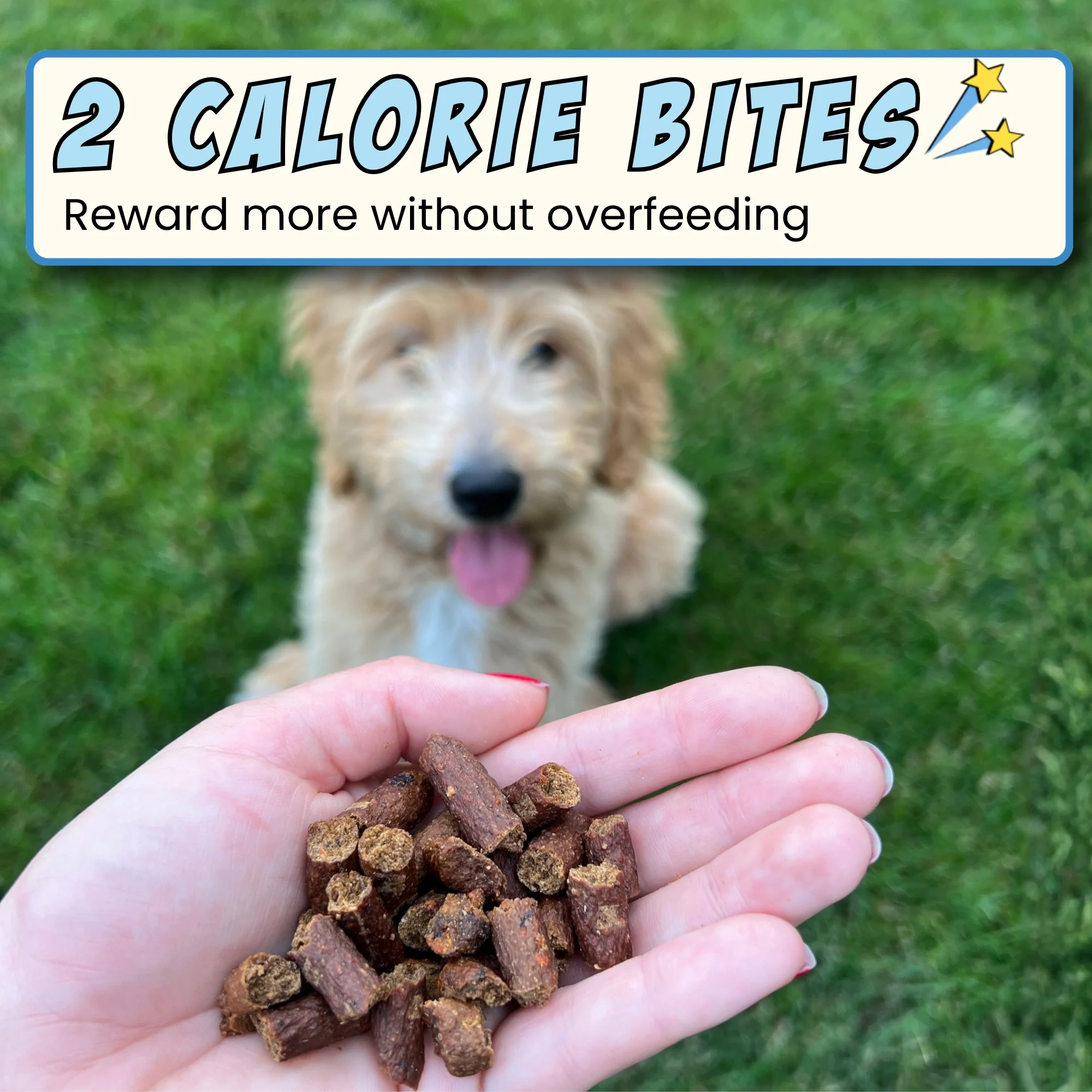 A hand holding small training treats in front of a smiling dog