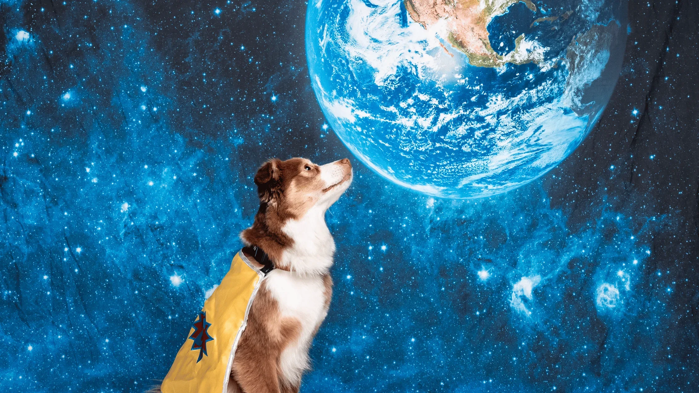 A dog in a cape looking up at planet Earth