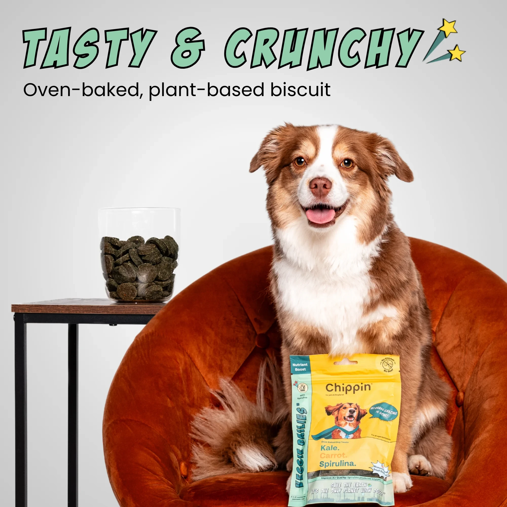 A dog sitting next to a bag of Veggie Dailies