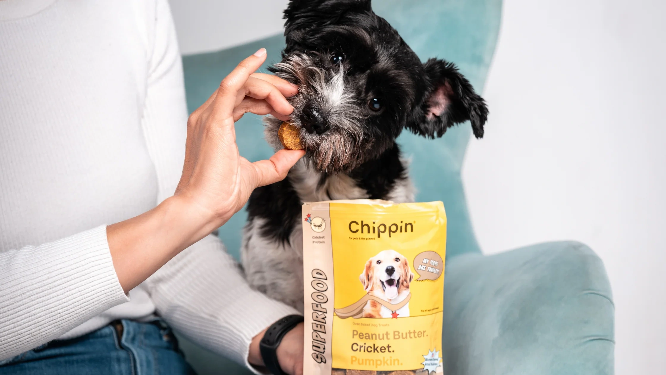 Illustration for the article Can dogs eat crickets