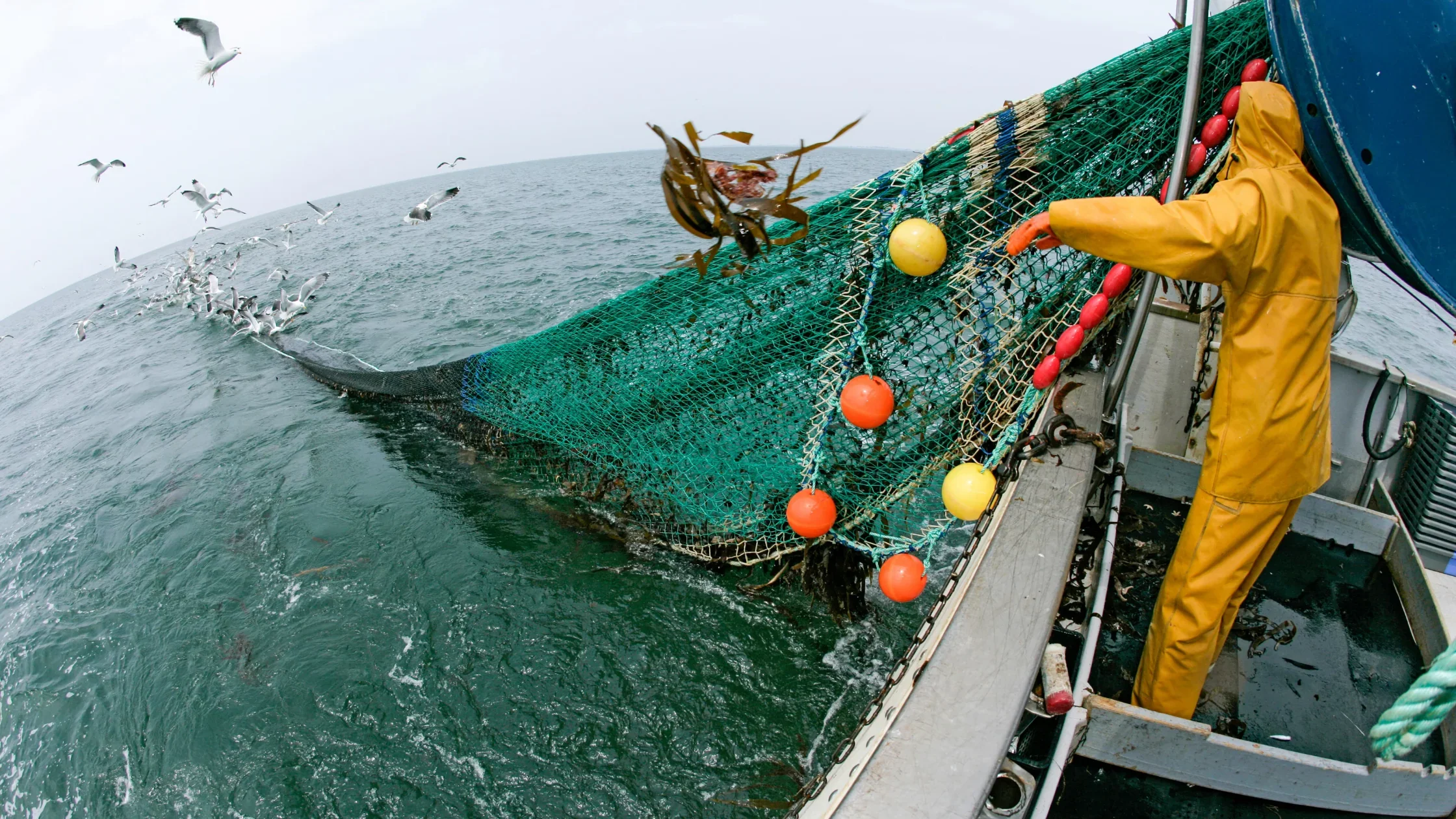 Illustration for the article What is Bottom Trawling