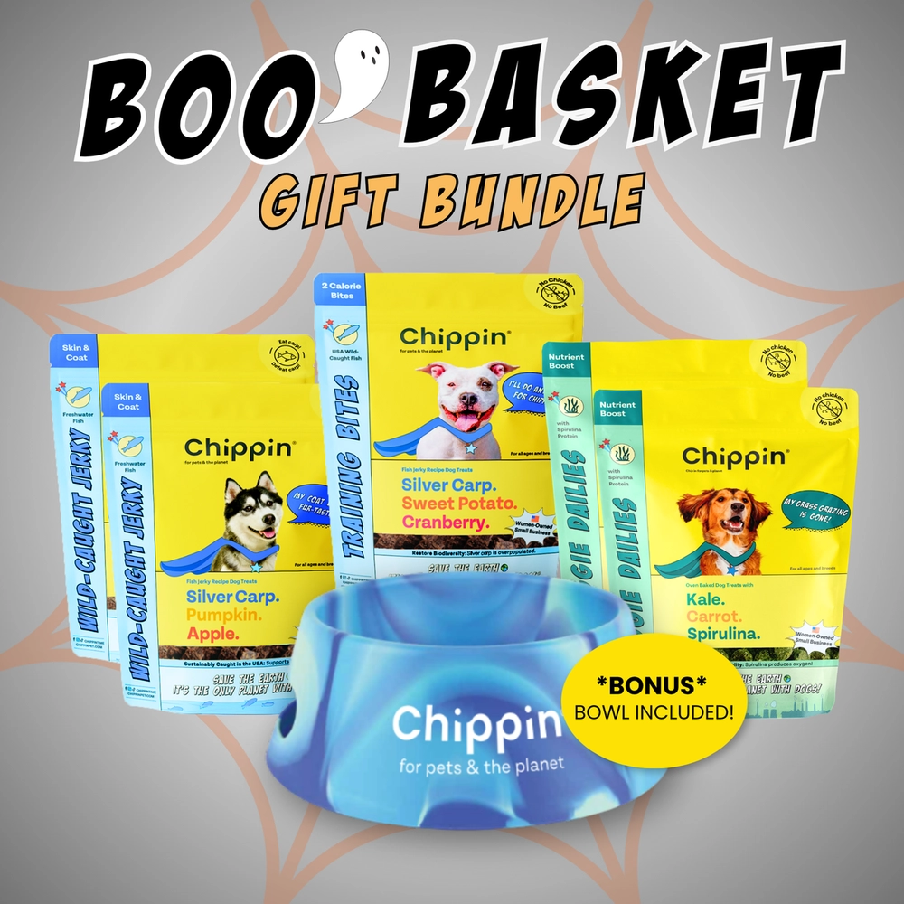 Boo Basket Gift Bundle