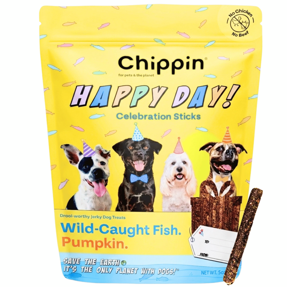 Celebration Sticks 1-Pack