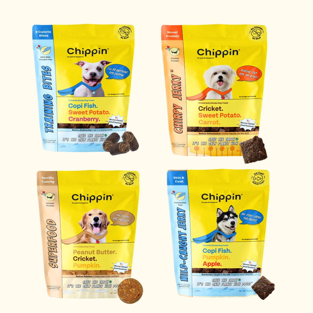 Fish and Cricket Best Seller Bundle