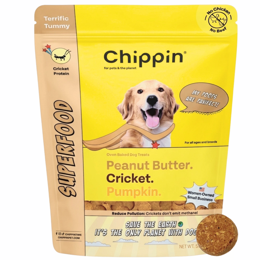 Superfood Cricket and Pumpkin Dog Treats 1-Pack
