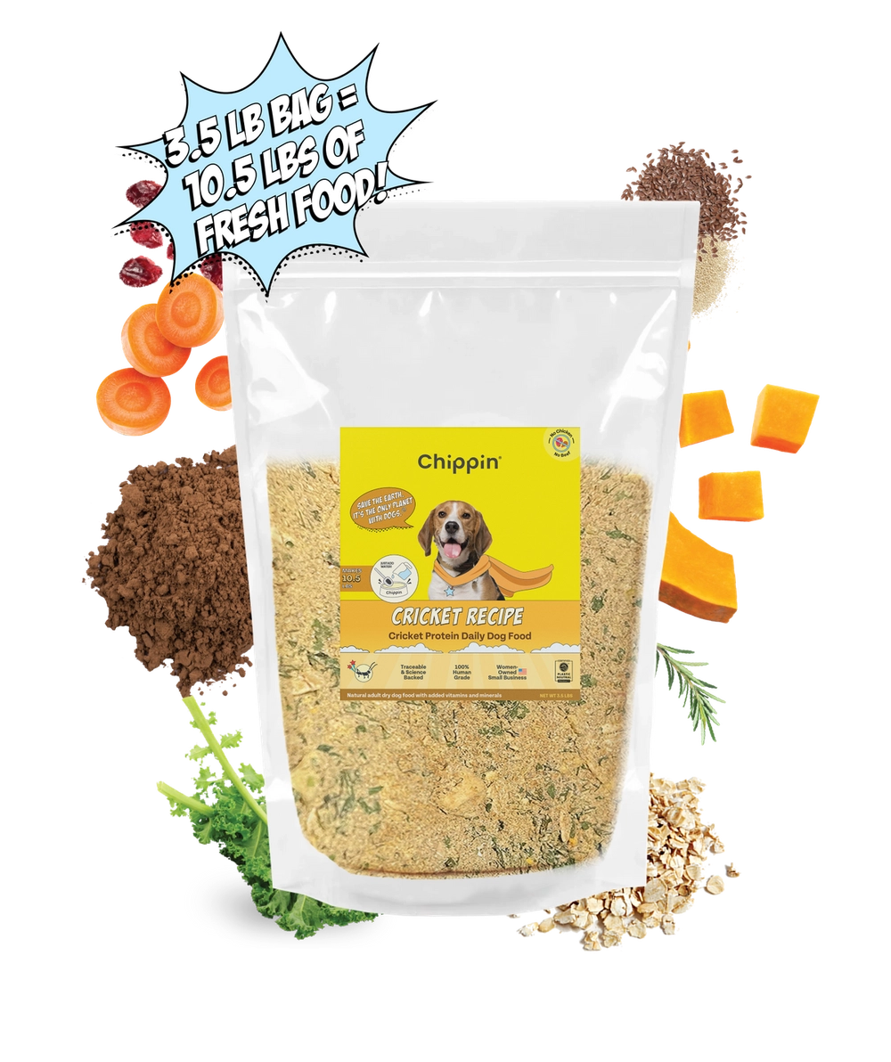 Chippin Cricket Recipe dehydrated dog food pouch